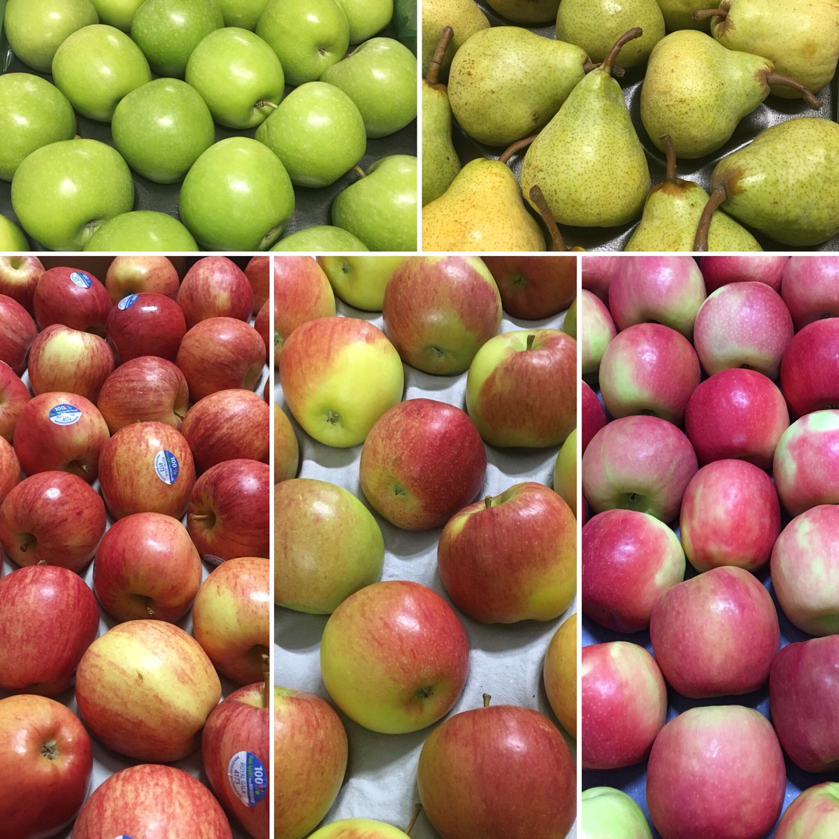 FerryFast_Prod's tweet photo. #FerryFast_Produce fresh delivery of #topfruit #SouthAfrican #grannysmith, NewZealand #royalgala & #braeburn, Argentinian #crippspink & #packhampears call the sales office to place your order. https://t.co/GqVmyv4OUk