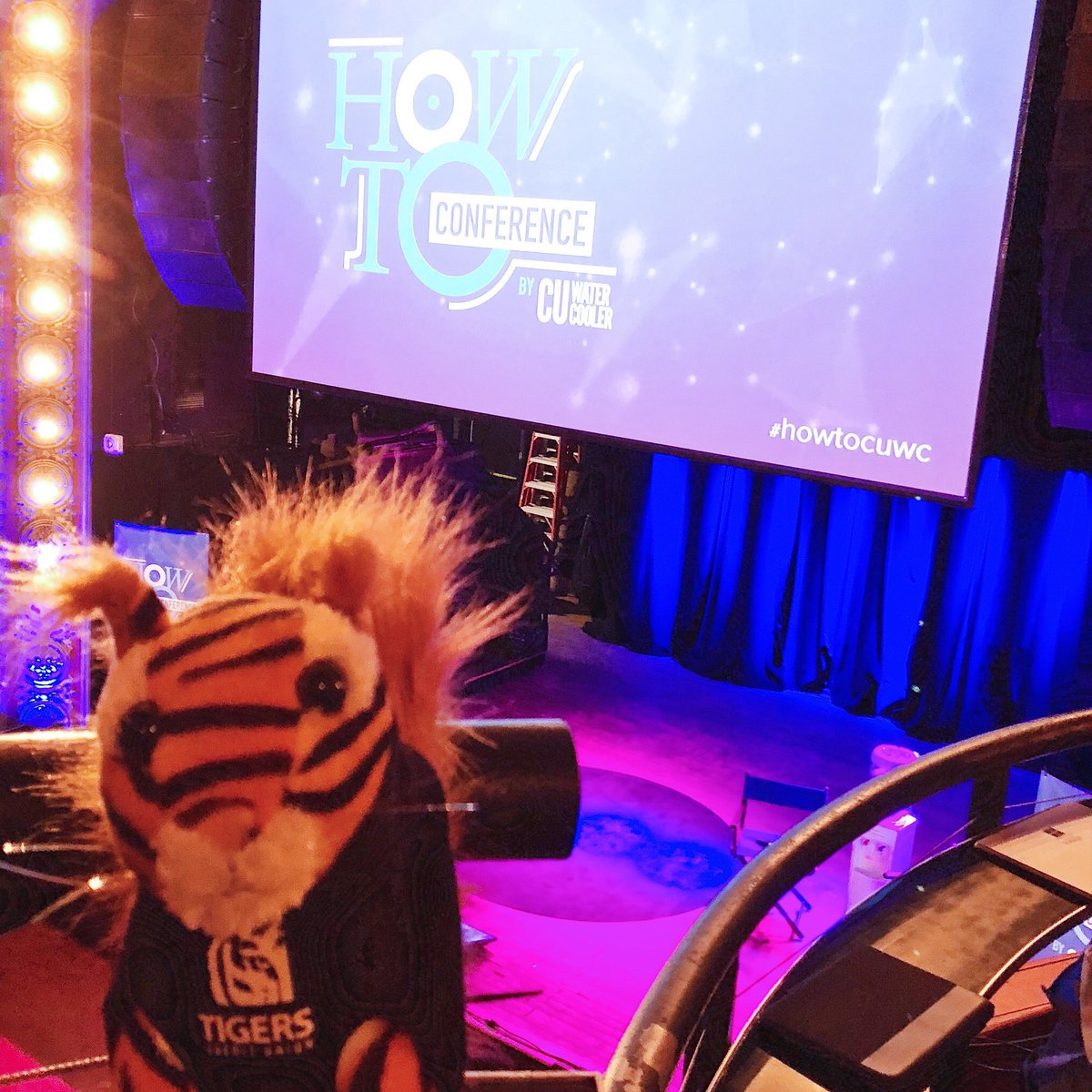 Tigersquirrel is in Madison, WI for the <a href="/CUWaterCooler/">CU Water Cooler</a> conference. Ready for some How To inspo 🐯 #howtocuwc