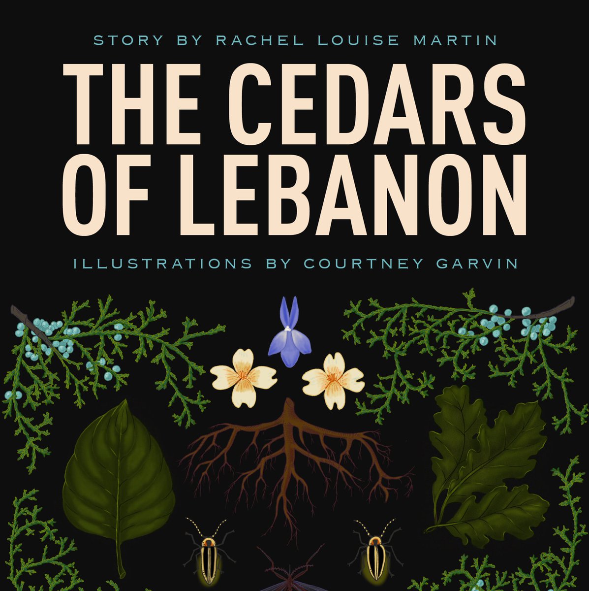 BitterSouth's tweet image. Can a long walk in the Tennessee woods change your perspective on race, class and privilege? Turns out, it can. bittersoutherner.com/cedars-of-leba…