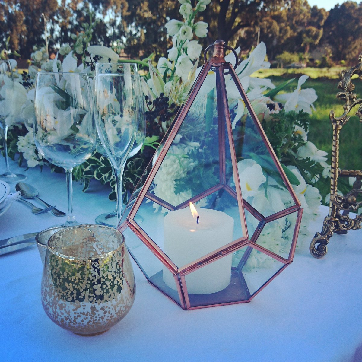 blankeventsZA's tweet photo. Styling tables with colour and raw elements to match the nature setting. #decor #blankevents #eventstyling #event #eventarmy #candle #flowers #colour #stationary #design #florist #outdoor #outside #nature #green #tablesetting #yearend #galadinner #corporate #function https://t.co/rYNAvs53Dw