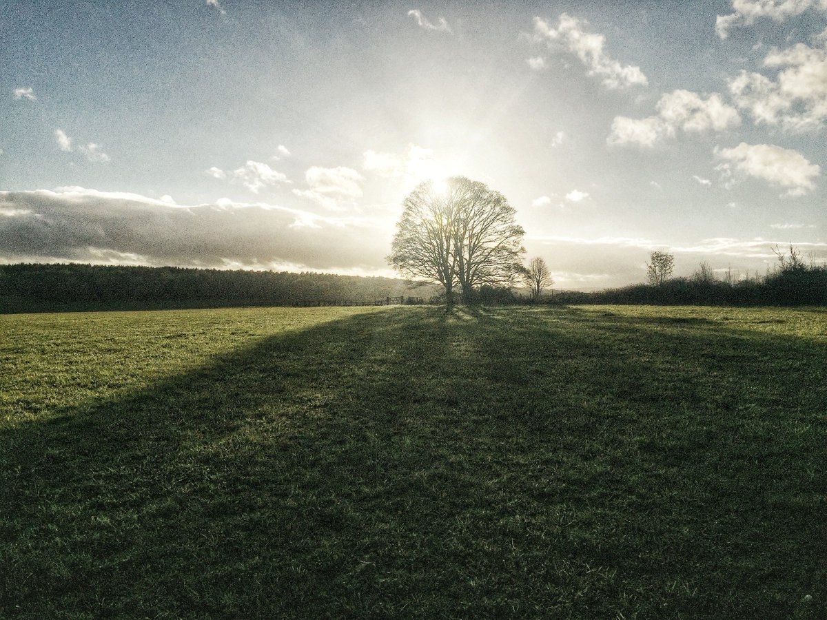 NicEdg's tweet photo. @drphc It's #TuesdayTree time!
Here's an @NicEdg classic into the sun, tree shadow number.
I hope I win, what is the prize? I just want to beat @swturn3r 😊
Happy Tree Tuesday! https://t.co/7cJFRQsHCK