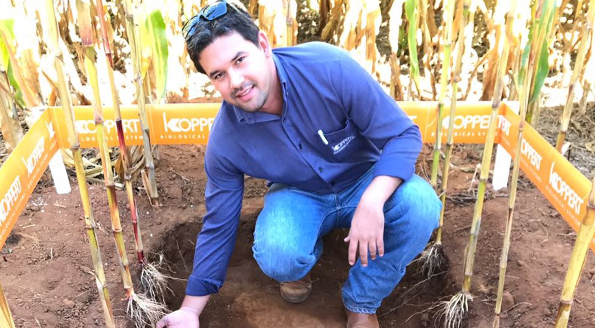Koppertbr's tweet photo. O dia de campo com o parceiro SinAgro em Campo Verde - MT foi um sucesso, no clique nosso CTV @lucas_rodsantos09 demonstrando os resultados obtidos com a utilização de produtos da @koppert_brasil 🌿🐞🐝🐛
#koppertbr #diadecampo #sinagro #controlebiologico #agricultura #agro https://t.co/SX1elrc1ZG