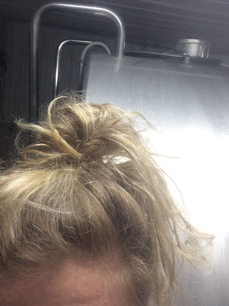 Did you know cows love to eat and rip out ponytails?! Dairy farmer problems! #womaninag #pain