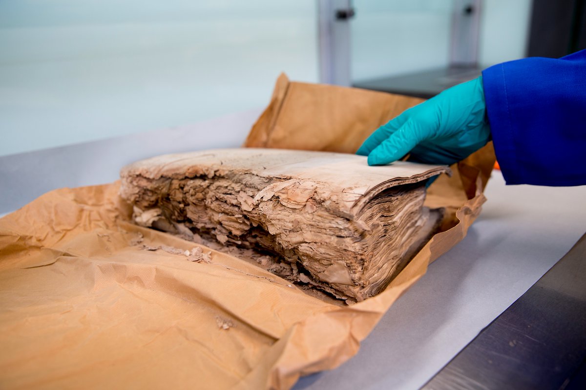 NHArchief's tweet photo. Geen slapeloze nachten meer voor conserveringsadviseurs en collectiebeheerders met de eerste KIA-publicatie ‘Spoorloos? Bekijken,
beoordelen en behandelen van schimmel op papier’ te downloaden op kennisplatform conservering. https://t.co/lPaPcEAoC9 #kennisdelen #conservering https://t.co/ijidiql5Ly