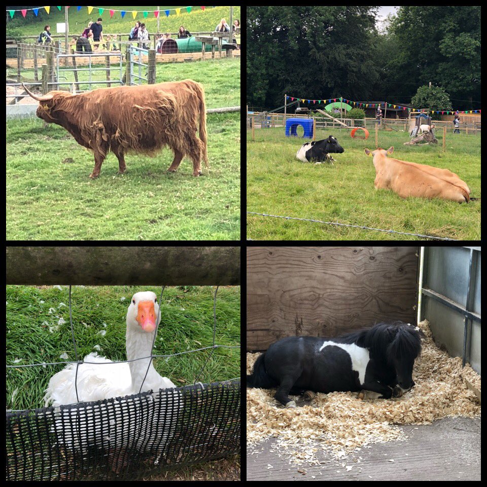 Chestnut tweet media