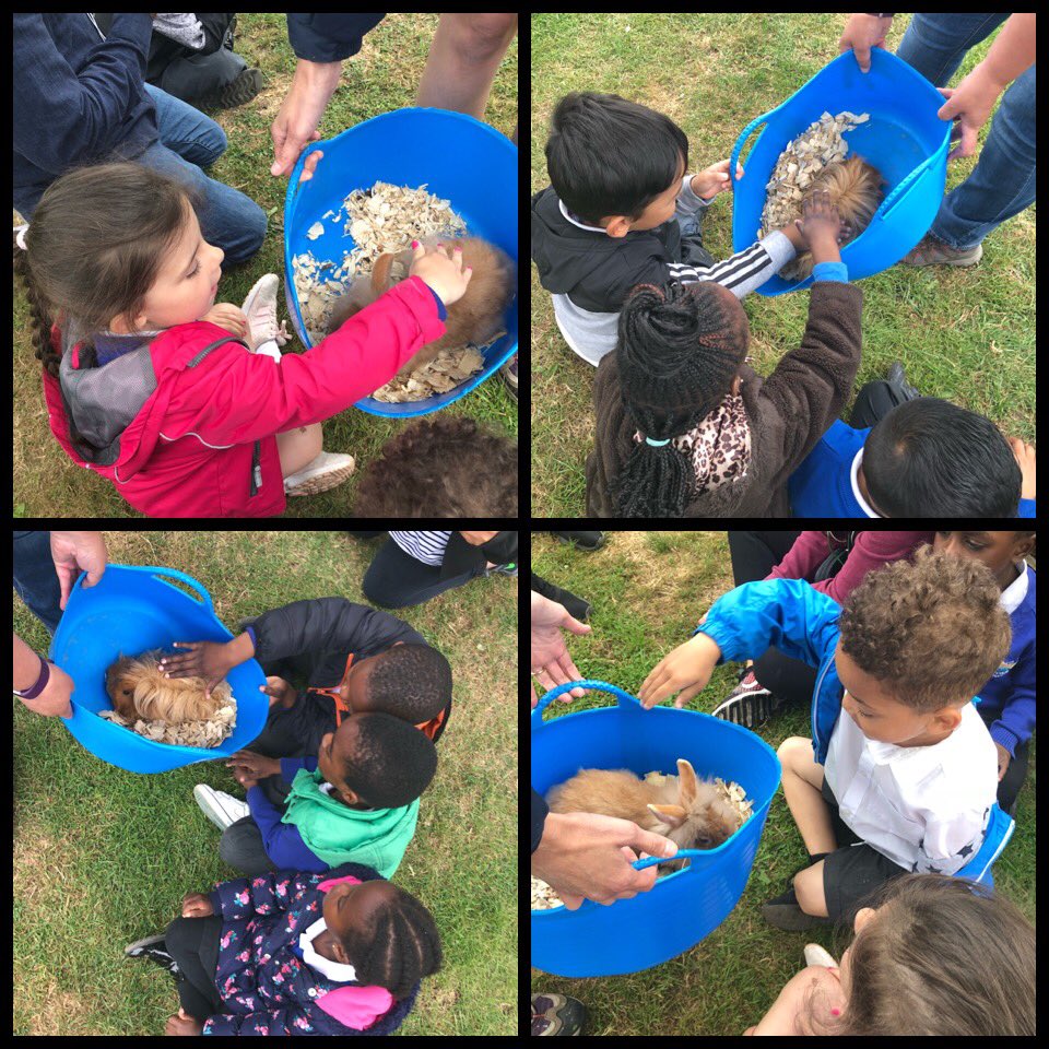 Chestnut tweet media