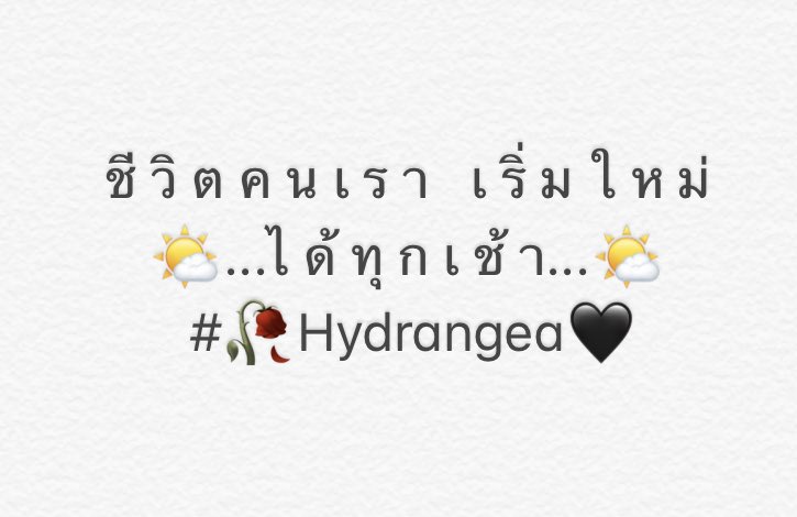 🥀Hydrangea 🖤 on X: 🥀Hydrangea 🖤 On X: