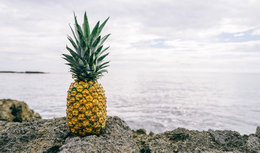 vidacina's tweet photo. 9 Beneficios de la piña para la salud https://t.co/AEdUemcVj9 https://t.co/FoMgdeeRcy