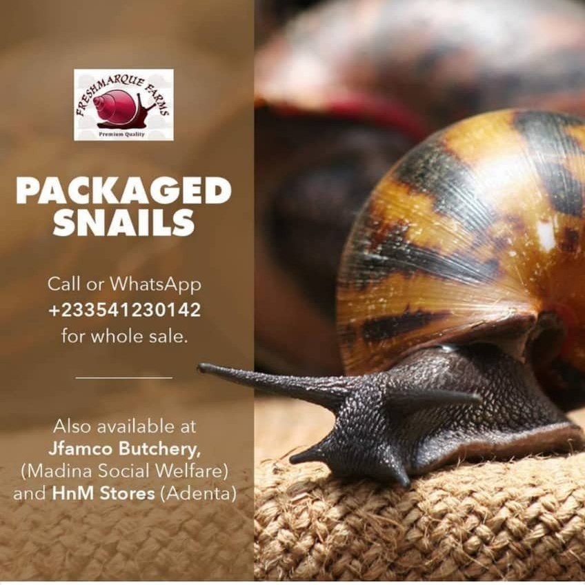FreshmarqueFarm's tweet photo. Yes!!!! We made it here too 😀😀😀😀
#freshmarquesnails,#freshsnails,#snailfarmerghana,#packagedsnails ,#escargot ,#snailghana ,#snaillovers ,#letslivehealthy ,#whitemeat,#leanmeat ,#healthyeating ,#healthfood,#ghanaiancuisine ,#ghana ,#ilovefood ,#africancuisine,#naijacuisine https://t.co/dsFhzklFk3