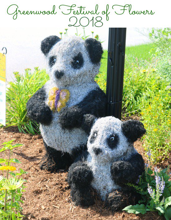 pamwattenbarger's tweet photo. Have you attended the South Carolina Festival of Flowers? If not, here's what you're missing->https://t.co/I60pVL1ool @SCFOF @Old96Tourism #SCFOF #Greenwoodsblooming ad https://t.co/xcNnkW5vR3