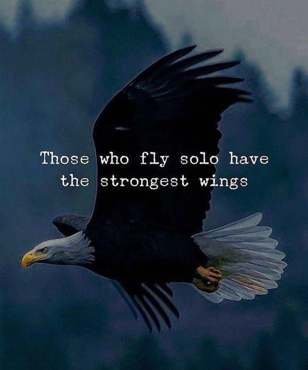 Just2Choices's tweet photo. Whether you're solo or not, be sure your wings are strong! "Those who fly solo have the strongest wings." ~Unknown #ChooseStrength #ItsAllaChoice #ChoiceRevolution https://t.co/UTZYv29lpU