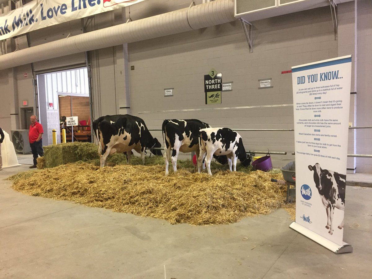 Proud to talk to our grade 3 young consumers today about our dairy cows! #Ifarm <a href="/dfc_plc/">DFC / PLC</a>