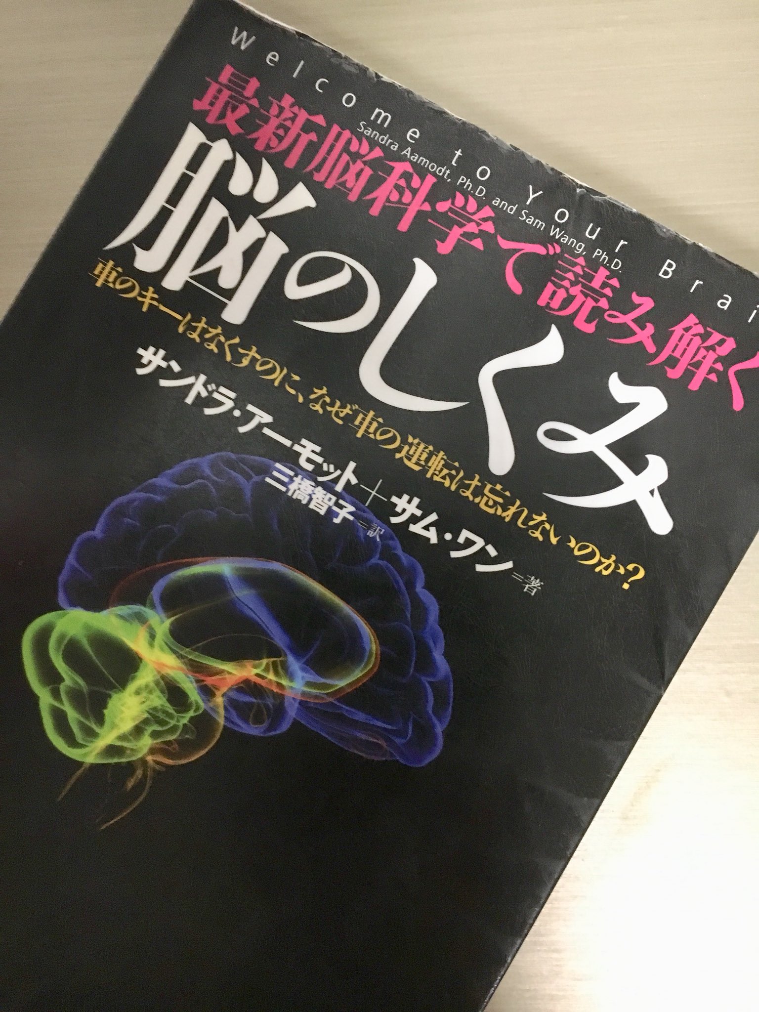 Randy 脳のしくみ 車のキーはなくすのに なぜ車の運転は忘れないのか サンドラ アーモット サム ワン著 読了 脳の構造 五感の仕組み 脳の形成 感情 意思決定のメカニズム 外的要因による脳への影響等 最新 といっても10年前 脳科学の