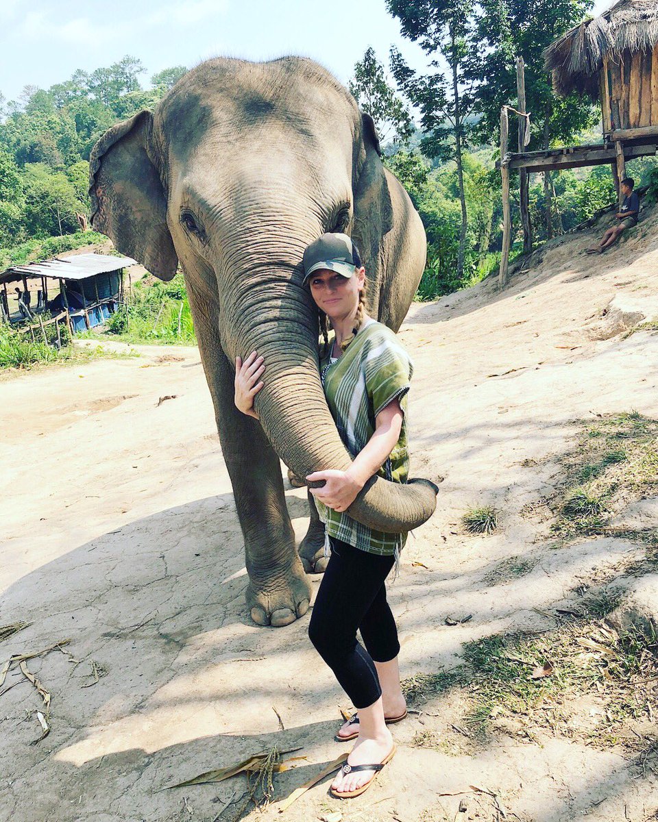 charmednomad's tweet photo. #Elephant #hugs are the BEST!!!🐘💕#Chiangmai #Thailand 🇹🇭 (April 2018)... https://t.co/gY8tiW3Y2c