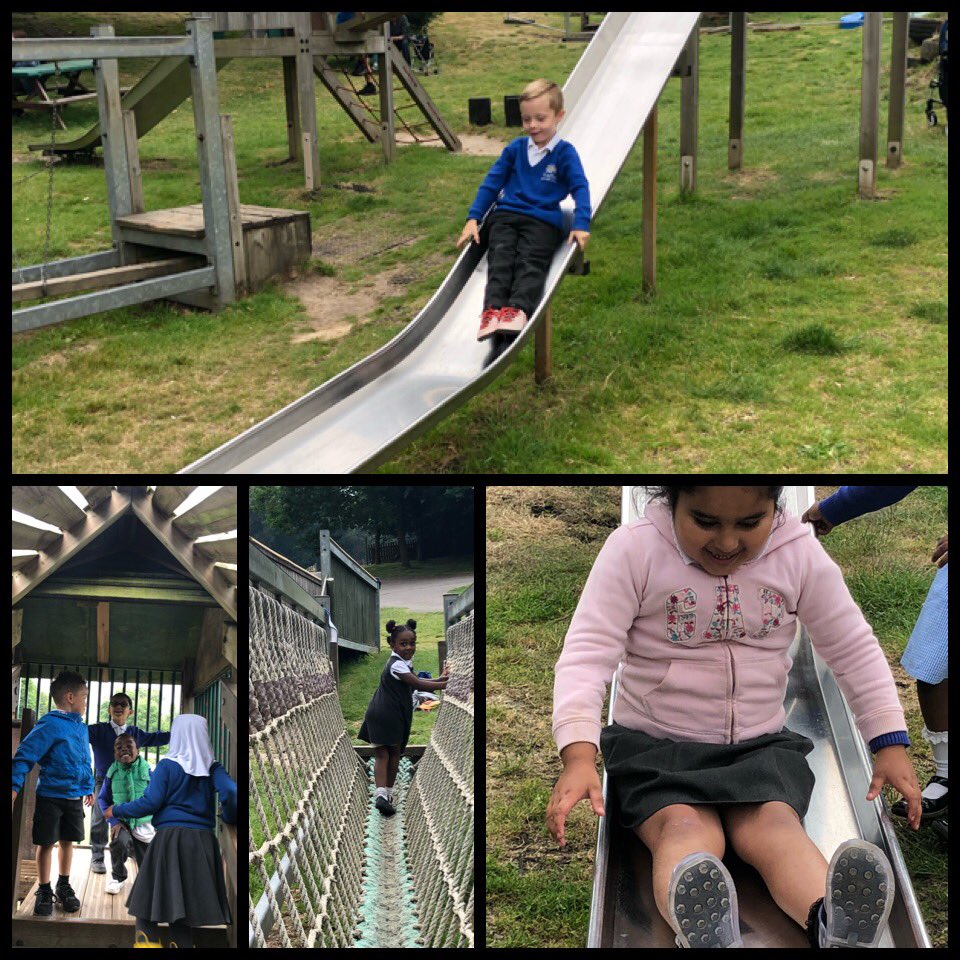 Chestnut tweet media