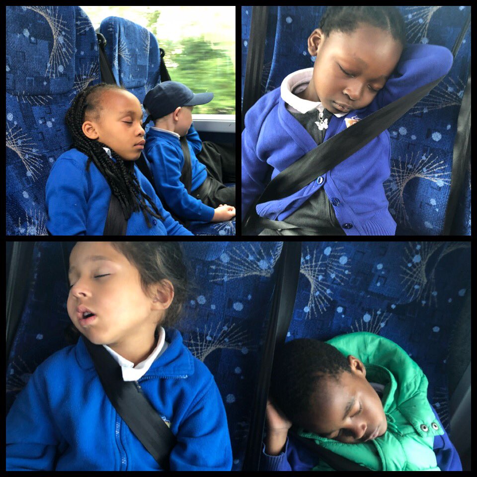 Chestnut tweet media