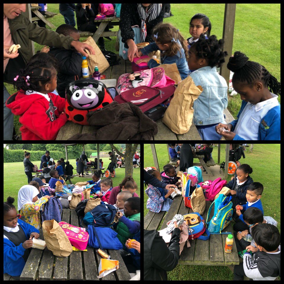 Chestnut tweet media