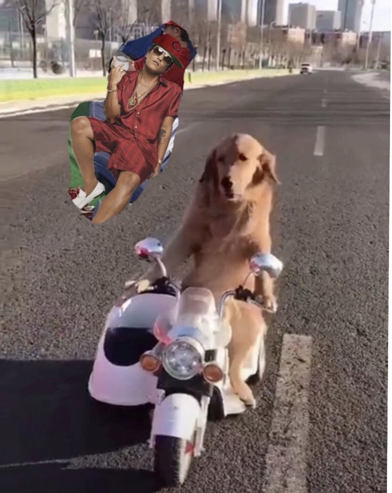 O Xrhsths ほたてちゃん Sto Twitter 犬を追いかけるブルーノマーズ 雑コラ O Xrhsths ほたてちゃん Sto Twitter 犬を追いかけるブルーノマーズ 雑コラ