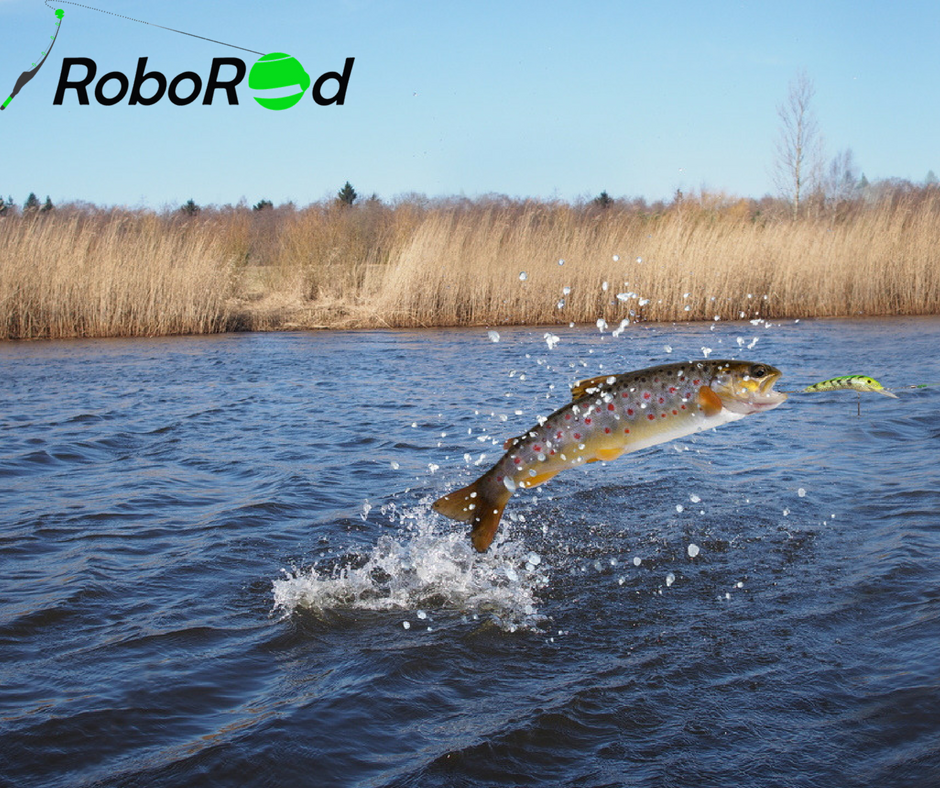 Roborod1's tweet photo. More #FishingTips from #Roborod for all you guys!

Even though lake trout aren’t schooling fish, they tend to stay in the same area. So if you catch one in a specific area, then there are probably more nearby!

#Fishing #Angler #Anglers #Fisherman #AnglingFishing https://t.co/J94APtWUPN
