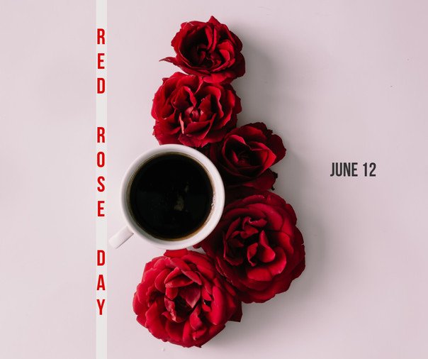 VidaDigitalTV's tweet photo. National Red Rose Day https://t.co/jjMf2aR2cr