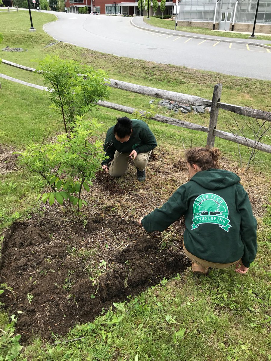 EssexNorthShore's tweet photo. Taking care of our beautiful campus! Thank you #EssexTechLandscape 11! #AgEdu #CareerTechEd #HawkTalk https://t.co/UHIafqEapL