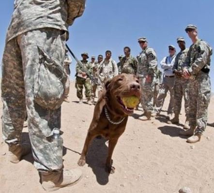 Aaron Bennis tweet media