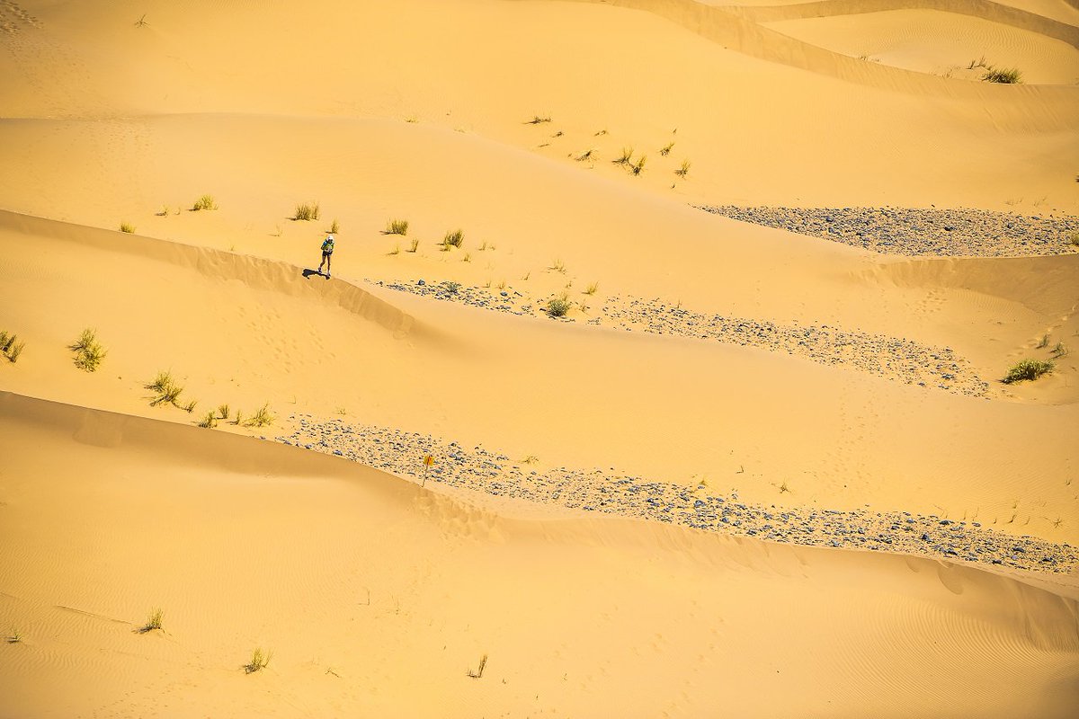 marathonDsables's tweet photo. Wandering, alone in the desert... 🌵 ❤️ 🏃

#MDS #MDS2019 https://t.co/cWTJraUqp3