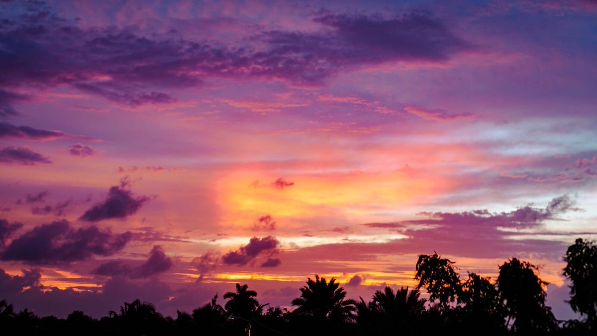 lioncenter's tweet image. Took this the other day.....what you think? #myisland