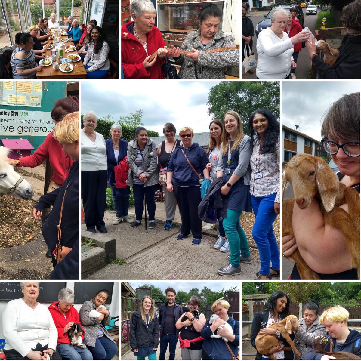 terminus_the's tweet photo. Wonderful trip to @HeeleyCityFarm today with our Carer’s group. @movemoresheff @SheffieldCarers #MoveMoreMonth #CarersWeek2018 https://t.co/ae28BKYp50