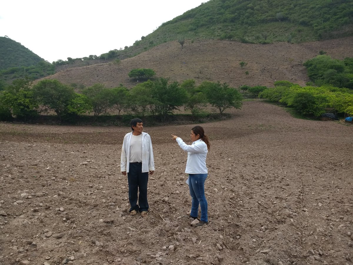 Isa69850753's tweet photo. Diagnóstico de parcelas para la implementación del plan agronómico en la localidad de San Miguel Totolapan, municipio de Huamuxtitlan. Gro. Asesor técnico:Biol. Ma. Isabel Dominguez Morales.
#PROAGROCapacita 
#CIMMYT #HubPCTO https://t.co/0Z6yhfCzX0