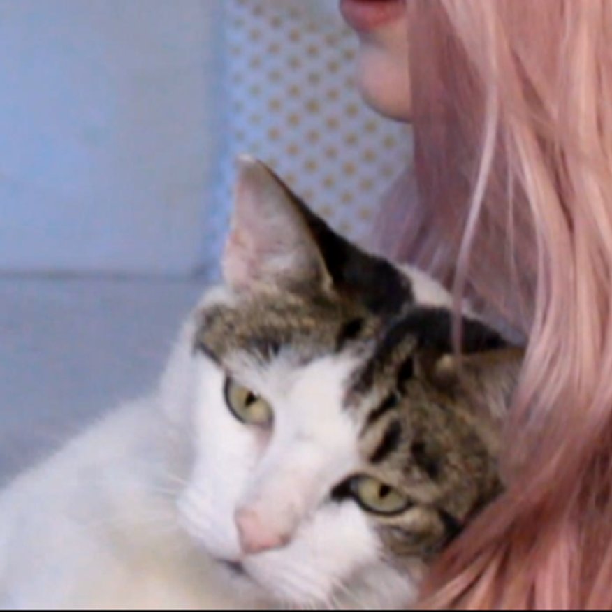 🌼🌺 LDShadowLady 🌺🌼 tweet media