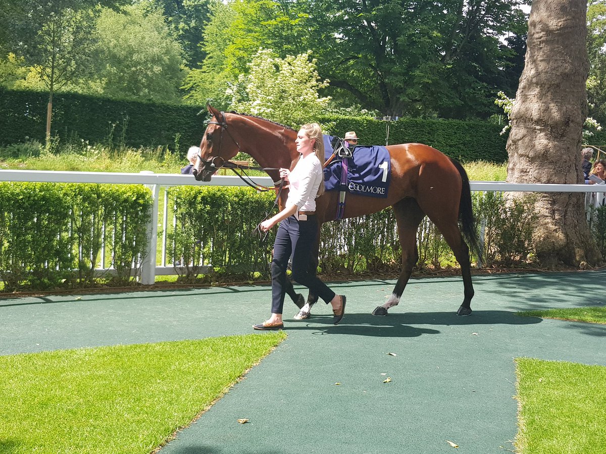 Brilliant and lovely feature on Laurens showing now on <a href="/Racing_UK/">Racing UK</a> with Lucy and <a href="/karl_burke/">Karl Burke</a>