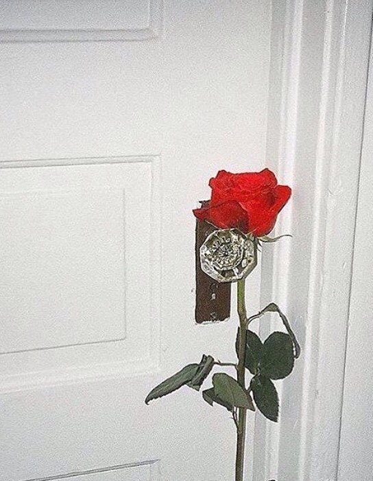 Roses are red 🌹
Wine is also red 🍷
Poems are hard ◼
WINE 🍷
#thepeacockbride