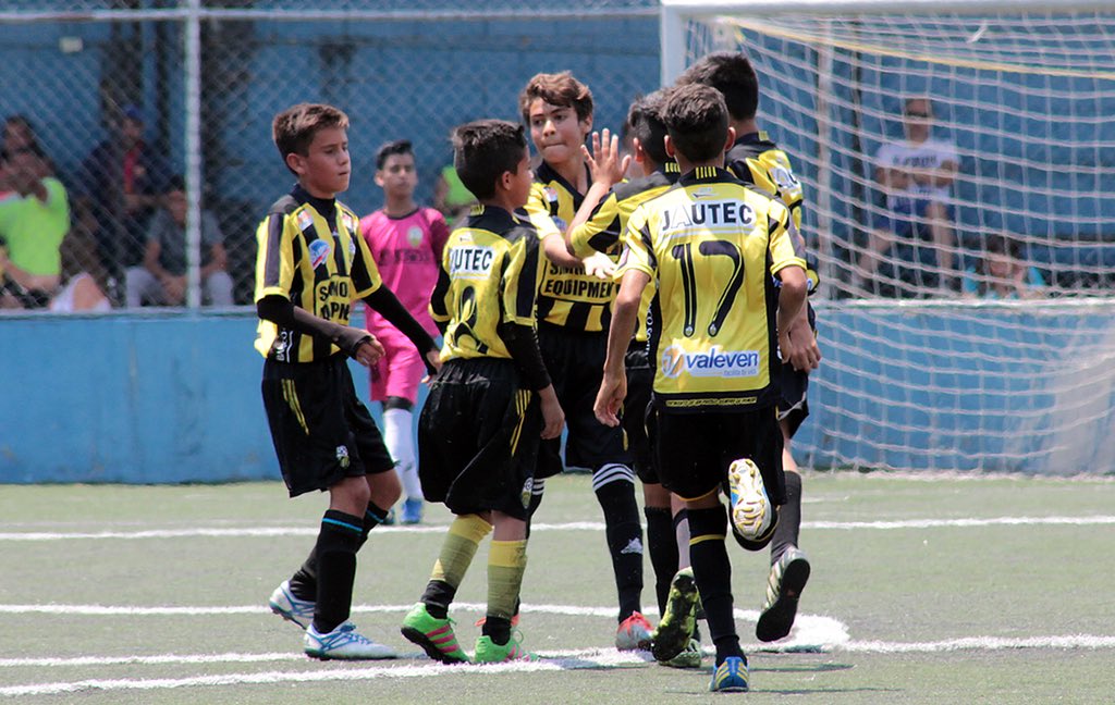 DvoTachira's tweet photo. #CanteraDTFC | 🔝 Cantera Aurinegra presente con todas sus categorías en las finales del Torneo ATF 🏆

👉🏻 Teteritos, Compoticas, Mundialito, PreInfantil, Infantil C, Infantil B e Infantil A

📆 Domingo 17/6
⏰ 8:30AM en adelante
📍 Estadio Pueblo Nuevo
¡POR OTRO AÑO DE GLORIA! https://t.co/RCuGwCTA6U