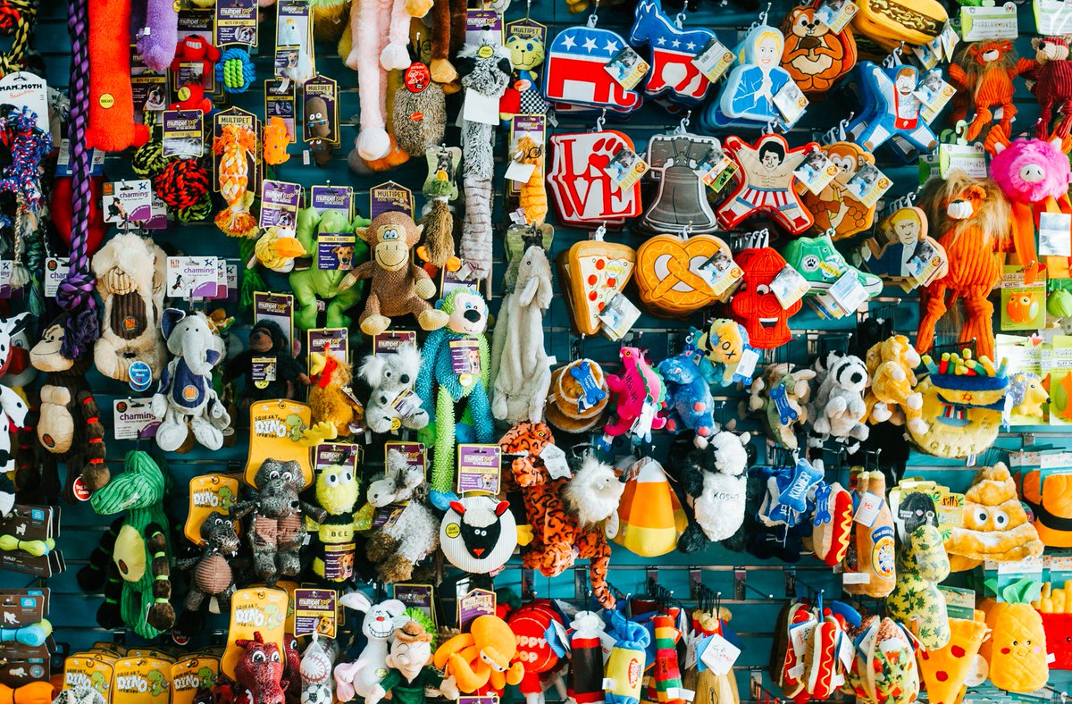 Doggie Style Pets tweet media