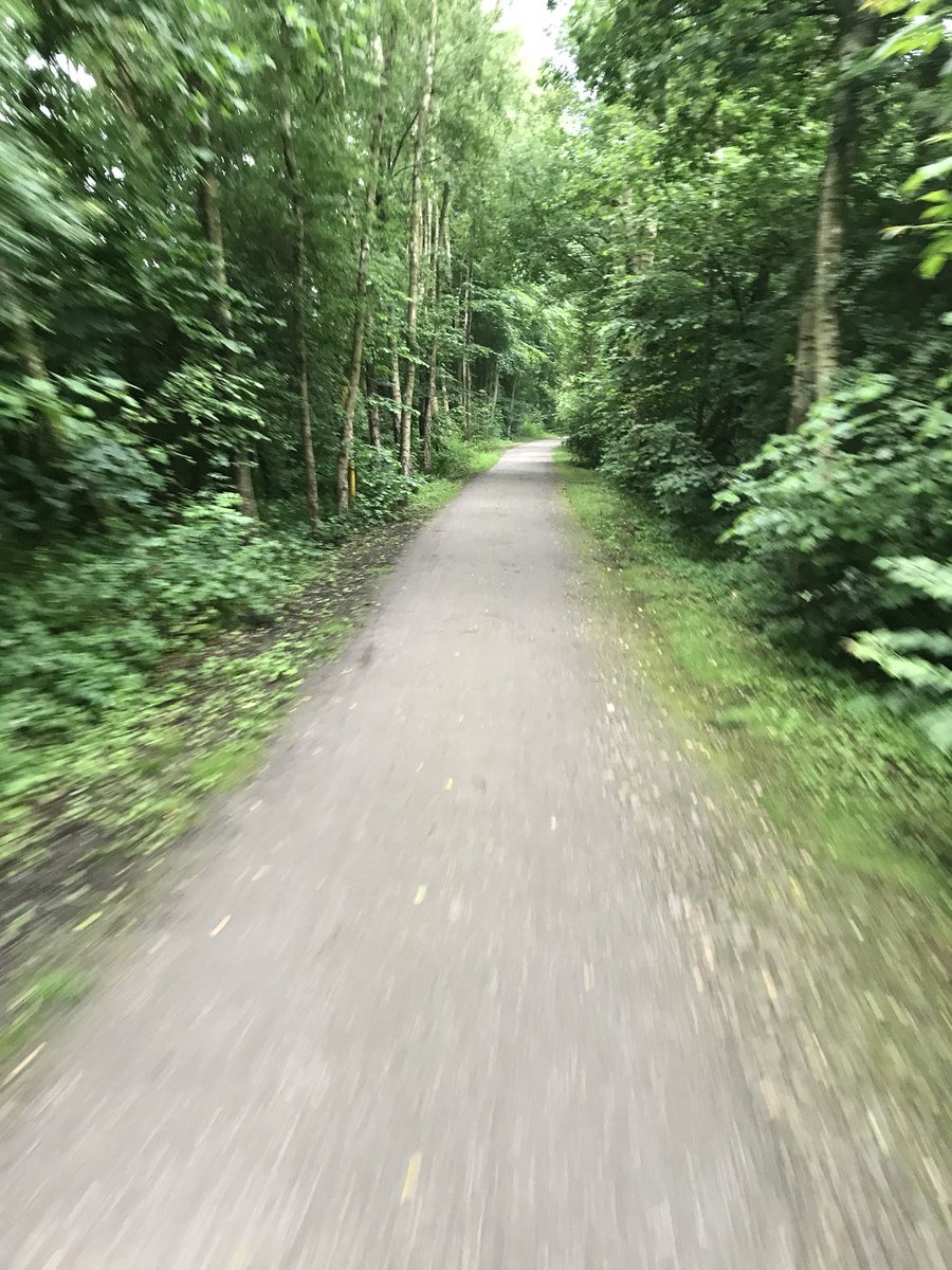 EIbe1's tweet photo. War heute in #Bochum. Hab die Freizeit genutzt zum Bahntrassenradeln über die alte #Springorum-Bahn von der City (Hbf) nach #Dahlhausen an die Ruhr. Knapp 25 km mit nur 60 Höhenmetern. Nix Industrie- alles grün da!🌳🚲💨🌳😊👍 https://t.co/q7GbRrpwcA