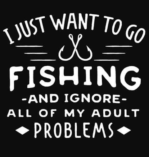 National go fishing day is the perfect day to take off, head to the water, and ignore your adult problems, even if just for a short while. #gofishing #headtothewater #summertime #nationalgofishingday