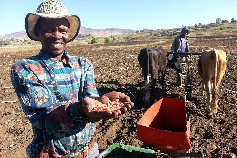 IFAD's tweet photo. Tomorrow @ 10am CEST we'll be webcasting a lecture by @MarttiEsala and Mila Sell on "Doubling yields in Africa through soil management, while conserving the planet."
Tune in here: https://t.co/ecQDE4Veqt
#InvestInPeople #InvestInClimate #IFADclimate #globalgoals https://t.co/tDYynFAO7J