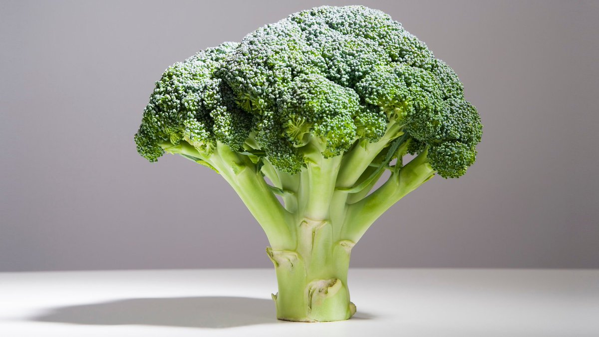 CoffeeHolding's tweet image. Make it stop! buff.ly/2MaXunX #caffeine #specialtycoffee #broccolipowder #justsayno @goodhealth #coffeetime