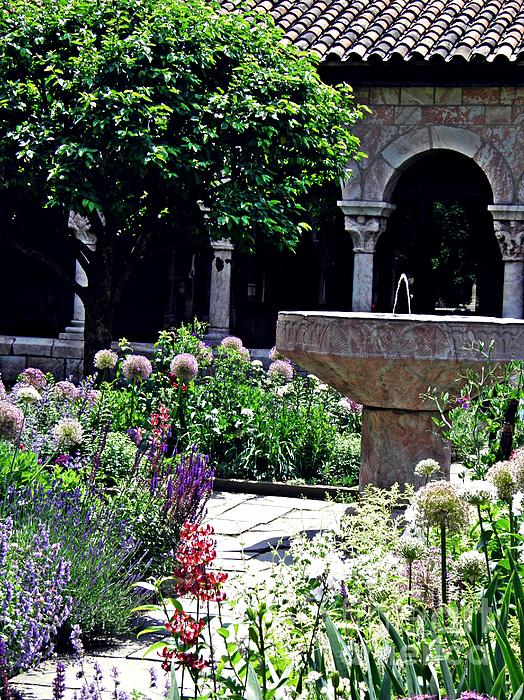 New artwork for sale! - "Summer Gardens at the Cloisters 1 " - fineartamerica.com/featured/summe… @fineartamerica