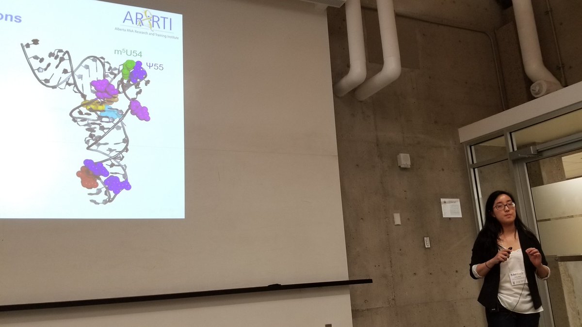 RiboWest's tweet image. Emily Soon from @UteKothe lab discussing her work on #tRNA #modifying #enzyme and #chaperone #RiboWest2018 #RNA #Conference @arrti_rna @uLethbridge @UofLArtsci