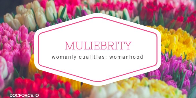 DocforceO's tweet photo. The Docforce word of the day is: Muliebrity! It means "womanly qualities; womanhood". Here it is in a sentence: People in the Roman Empire would have considered Juno the epitome of muliebrity! #wordoftheday #docforce https://t.co/n1ASYwuk14