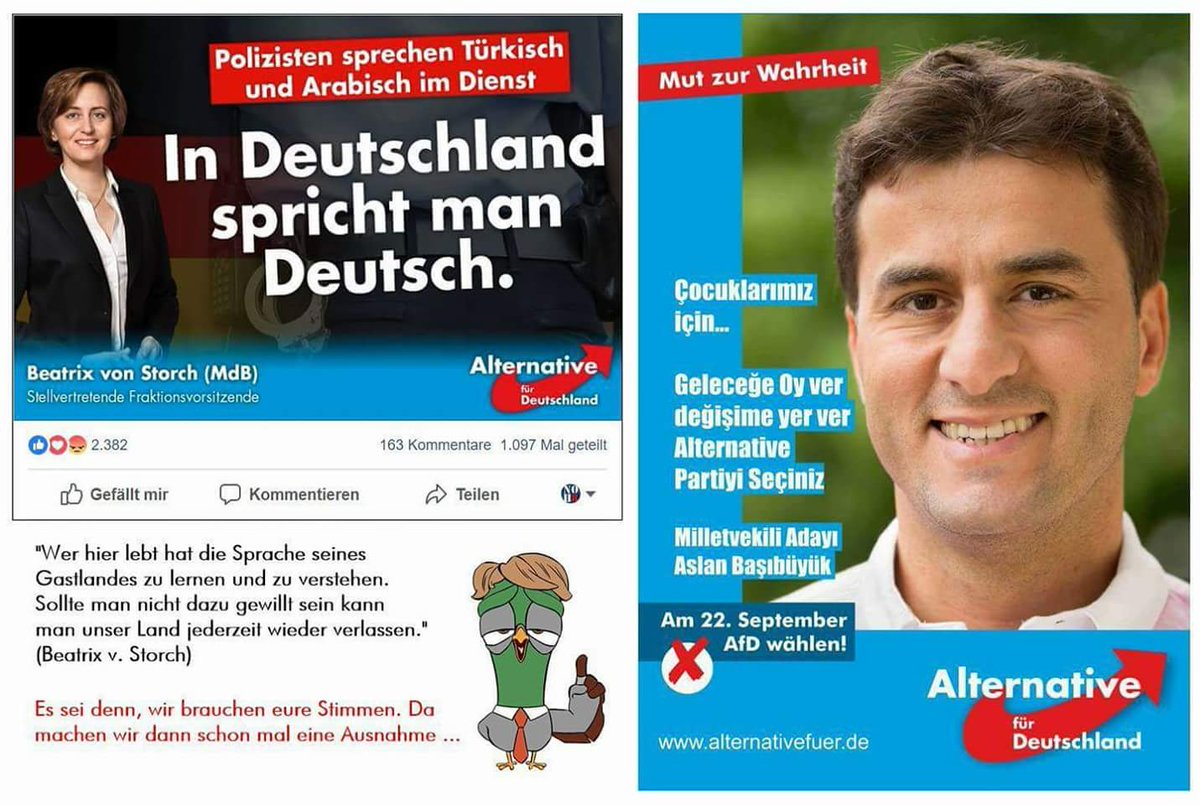 AndreasWerwolf's tweet photo. Irgendwas scheint die #AfD bei ihrer eigenen Propaganda nicht zu verstehen. https://t.co/XIRBKaAXvh