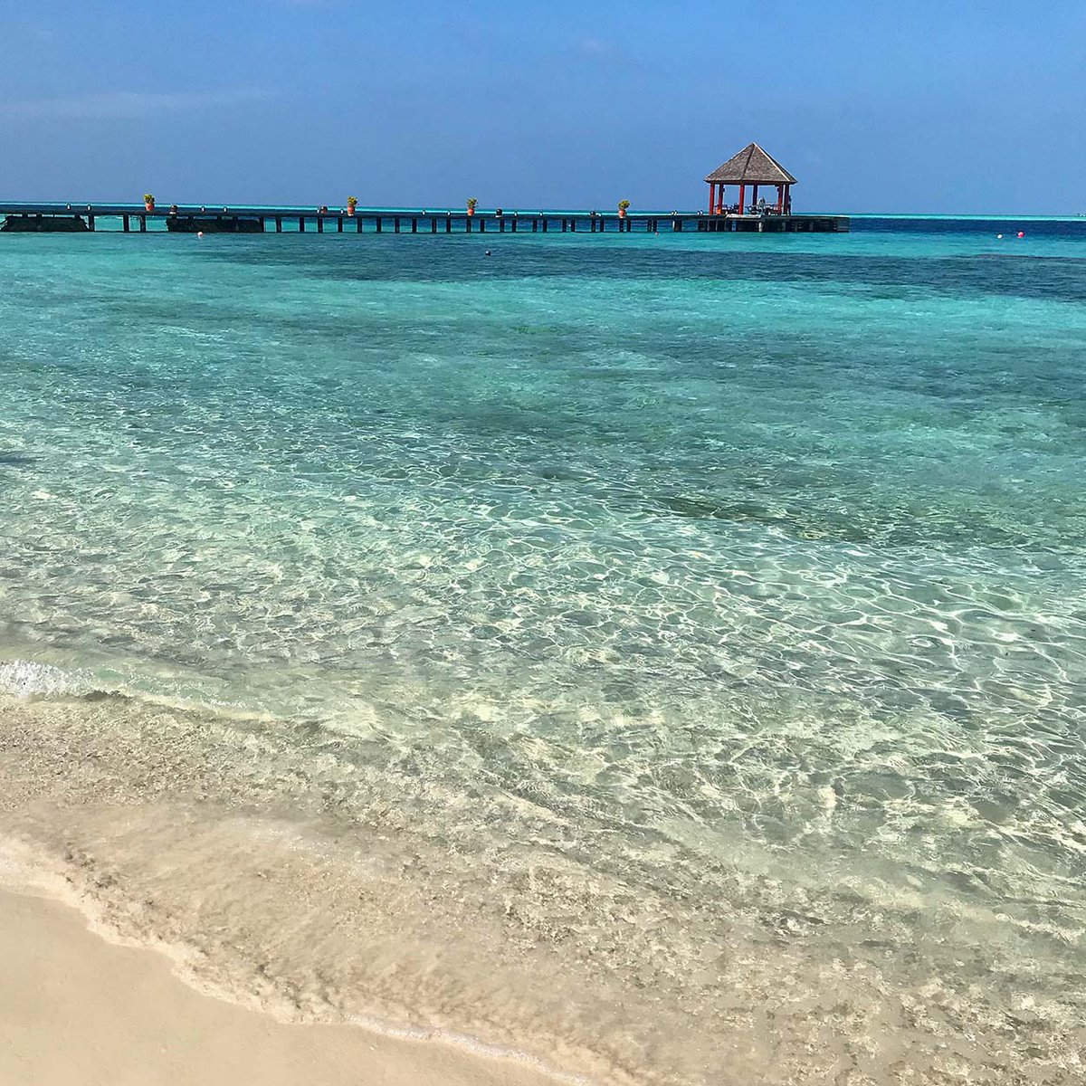 Komandoo Island Resort & Spa tweet media