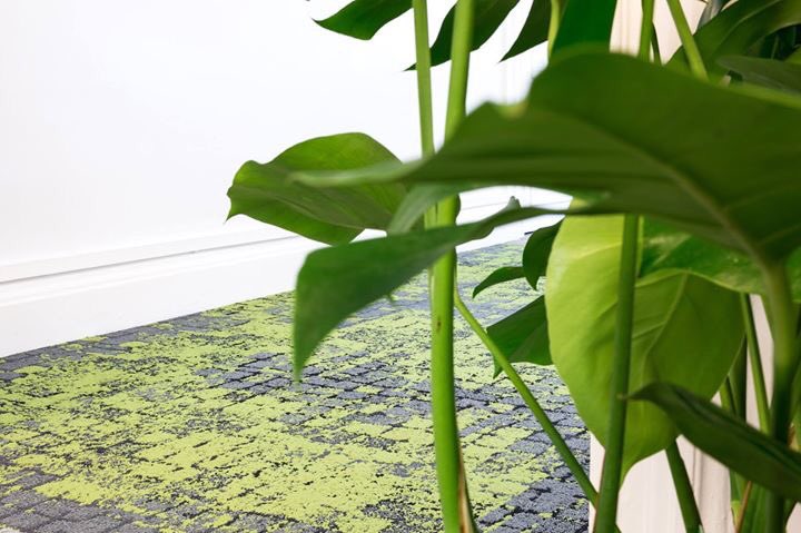 Mickaël Cornou tweet media