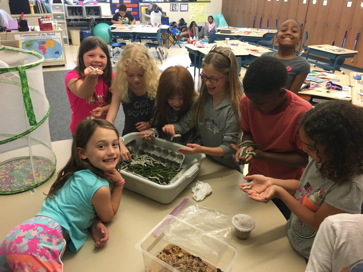 ward2wyncote's tweet photo. Observing and touching the silkworms! #playingwithinsects #secondgraderocks @CSDWyncoteES https://t.co/KwRVIUUNfD