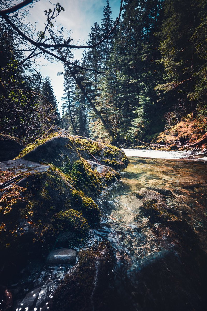 mk4d4m's tweet photo. Never give up, for even rivers someday wash dams away. #beautifulbc #explorebc #ExploreCanada #River #rainforest #squamishriver #hiking https://t.co/HjhRWsKmLs