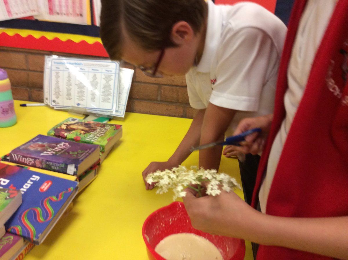 ecoclubaspull's tweet photo. Enjoying elderflower pancakes #Eco #UsingTheEnvironment https://t.co/BfeUTlKpKz