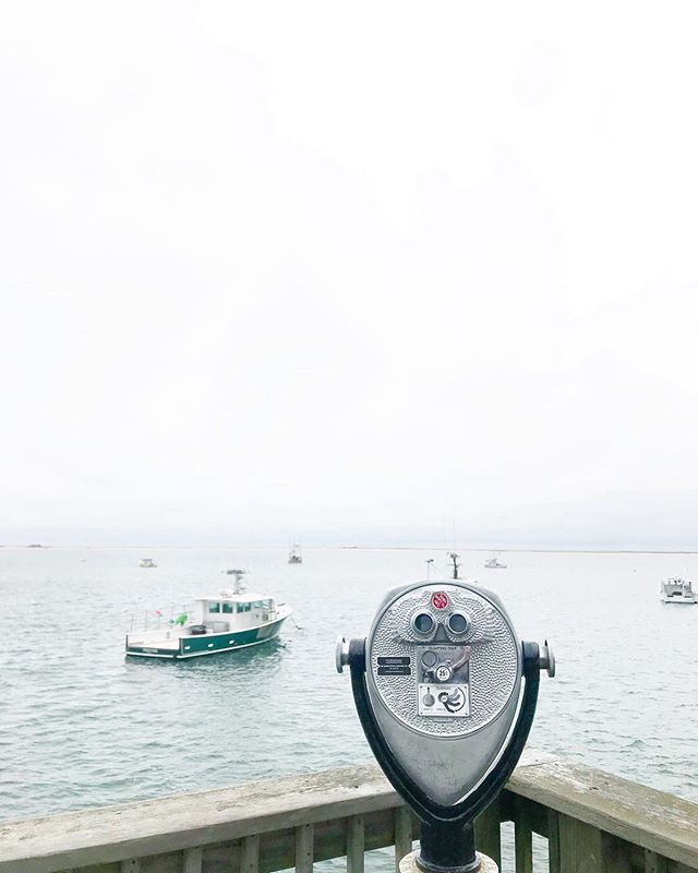 ElizabethEv's tweet image. You know those days when your to do list is a mile long... but you’re kind of just on the deck people watching/spying on your neighbors? 📝🕵🏻‍♀️ What’s your procrastinating past time? #noseynelly #capecodimages #chathamfishpier ift.tt/2JCVMdm