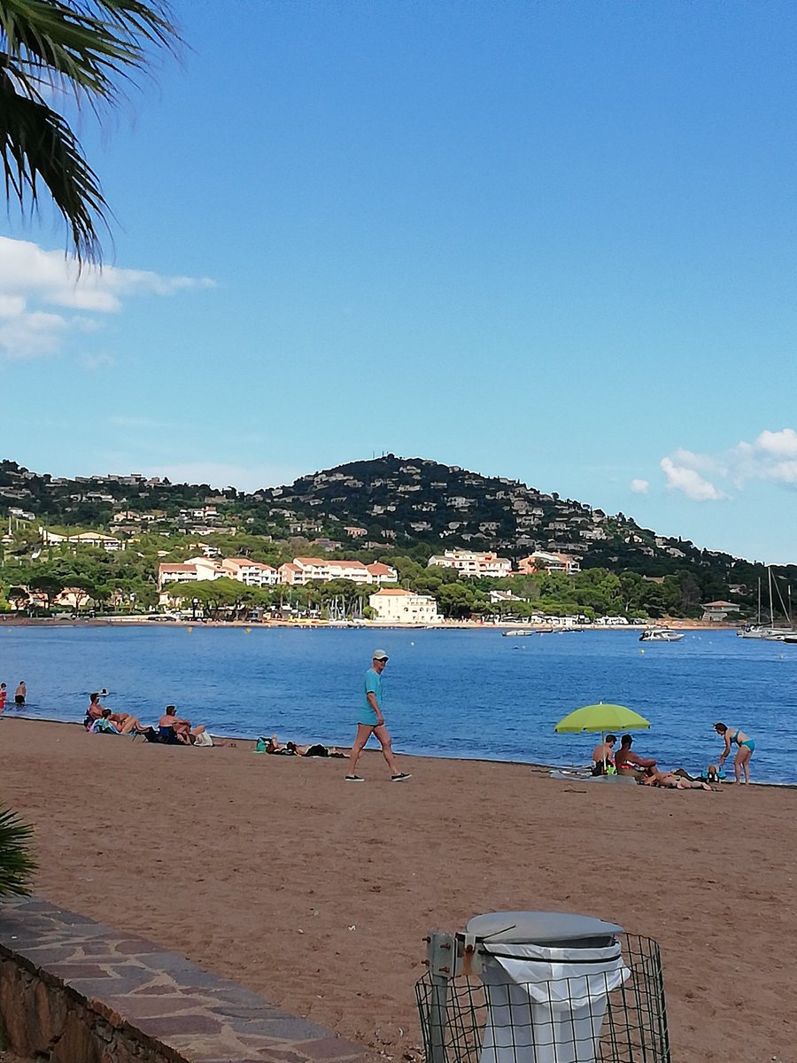 Sev0511's tweet photo. #soleil #mer #plage #Mediterranee
🌞🌞🏖️🏖️🏝️🏝️ https://t.co/DXxQr2Zi3j